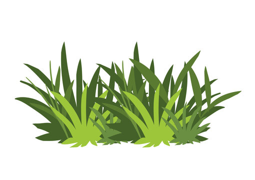 Bright green grass clump with sharp blades and vibrant tones beautifully illustrated transparent background