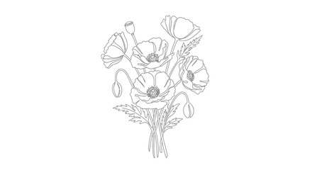 Fototapeta premium Poppy Flowers Bouquet Line Art Illustration Isolated on White Background