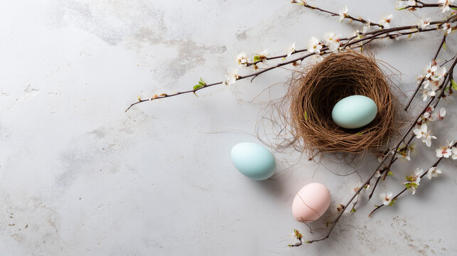 Pastel Easter eggs in nest with blooming spring branches on light stone background, delicate holiday flat lay, seasonal greeting banner, soft floral Easter composition, elegant spr