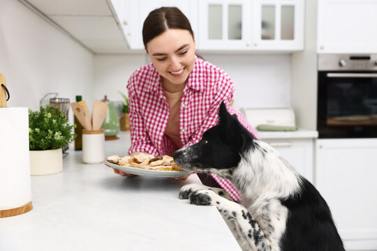 Woman with plate of bone shaped cookies near cute dog in kitchen