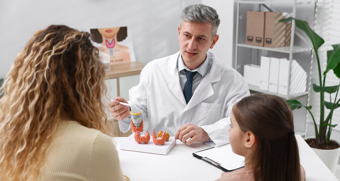 Endocrinologist consulting woman with her daughter and showing models of thyroid glands at white desk in clinic
