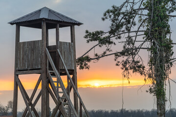 Fototapeta premium Wooden Watchtower Overlooking Sunset Landscape Near Pine Tree in Quiet Rural Field