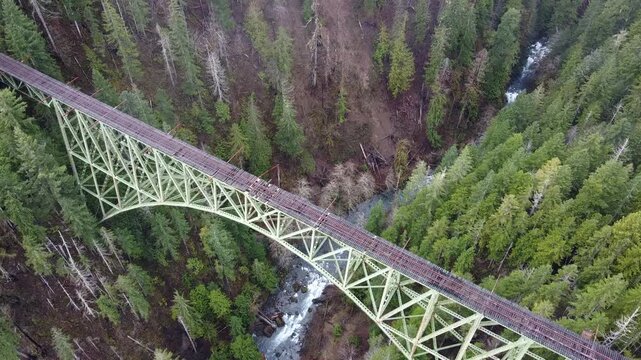 Vance Creek Bridge Washington