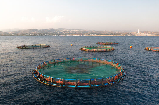Offshore aquaculture fish farm cages in open sea