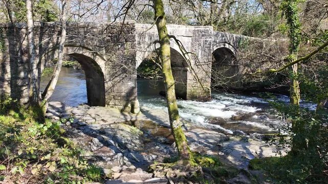 Newbridge Dartmoor Devon England UK. 21.03.2026.  Video. River Dart fast flowing under  a 15th Century granite bridge with three distinct arches which have triangular cutwaters to assist water flow.