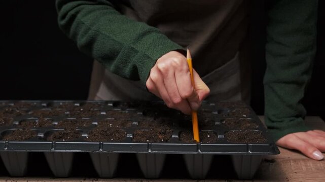 Caucasian Landscape Designer Marking Holes With Pencil, Measured Indentations Across Seed Tray To Control
