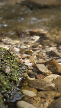 Slow motion macro shot of pristine water flowing on the river rocks, relaxing video background