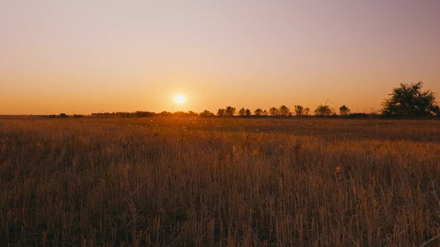 A vast harvested stubble field under a warm sunset sky. The sun is low on the horizon, illuminating dry grass, with a distant treeline silhouette. Peaceful rural landscape.