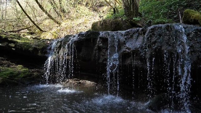 Slow Motion of Small Forest Waterfall. Pristine Cascade In The Forest Video - Pure Nature Wellness and Mindfulness Background