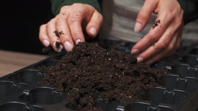 Hands Pressing Soil Into Seed Cells, Firm Compaction Across Tray To Create Stable Seedbeds, Tactile Gardening