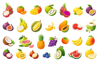 Colorful tropical fruit vector set with dragon fruit mango durian papaya pineapple coconut banana and other exotic fruits