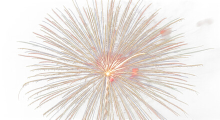 Obraz premium Bright colorful firework explosion isolated on transparent background