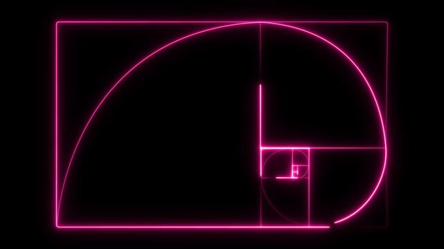 Neon Pink Fibonacci Spiral and Golden Ratio Grid . . neon Fibonacci spiral golden ratio icon. 4k motion video.