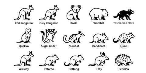 Obraz premium 15 Black and White Marsupial and Monotreme Vector Icons Flat Line Art