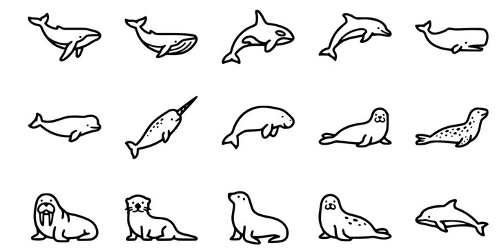 15 Black and White Marine Mammal Vector Icons Flat Line Art Elements