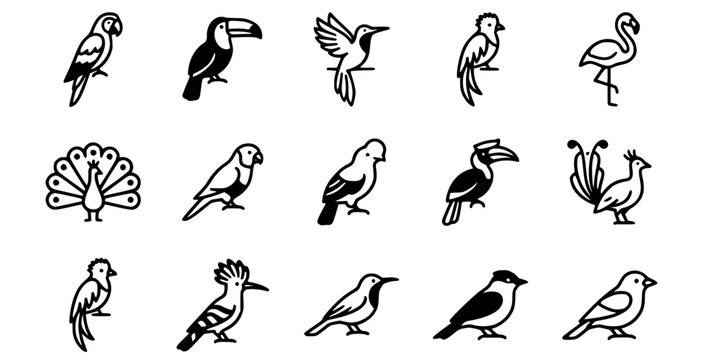 15 Black and White Tropical Exotic Bird Vector Icons Flat Line Art