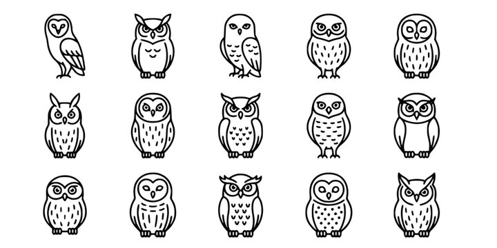 15 Black and White Owl Species Vector Icons Flat Line Art Microstock Set