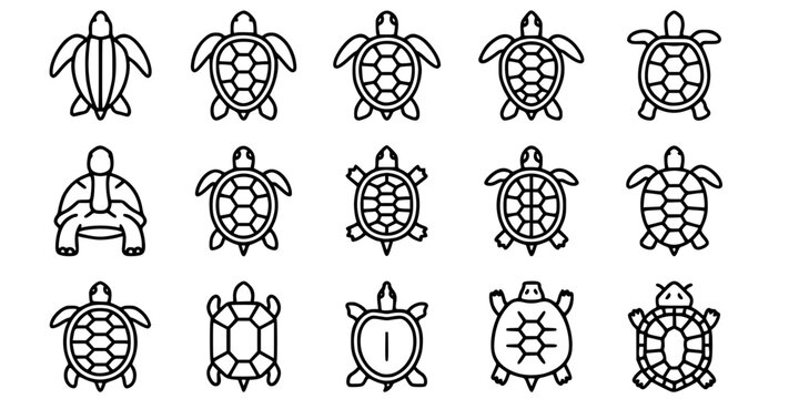 15 Black and White Turtle Tortoise Vector Icons Flat Line Art Bundle