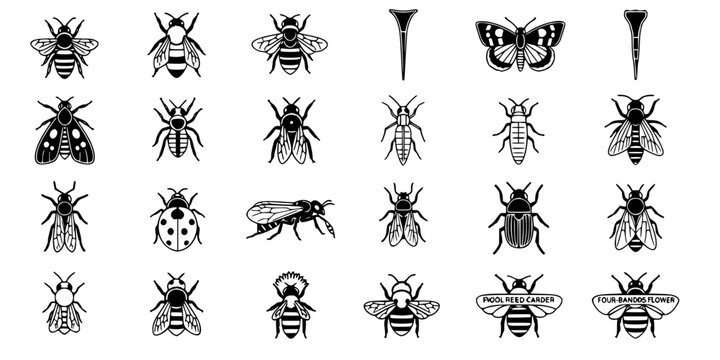 15 Black and White Pollinator Beneficial Insect Vector Icons Flat Line Art