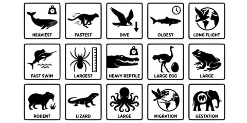 Fototapeta premium 15 Black and White World Record Animal Vector Icons Flat Line Art