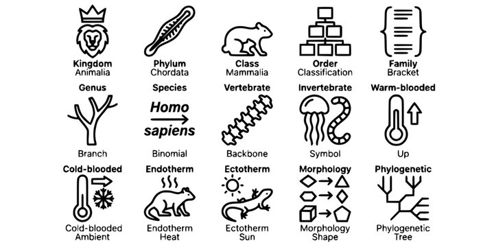 15 Black and White Animal Classification Taxonomy Vector Icons Flat Line Art