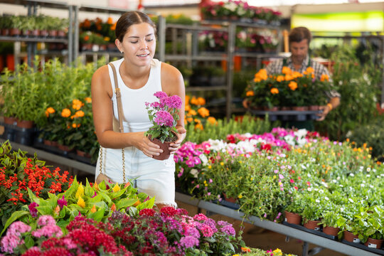 Happy young girl buyer holding garden-pot with pentas in large flower market
