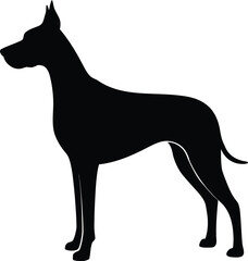 Obraz premium Great Dane Silhouette Vector Illustration For Pet Design