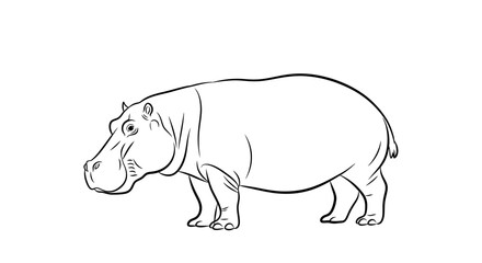 Obraz premium Line drawing of a hippopotamus in a simple artistic style on white