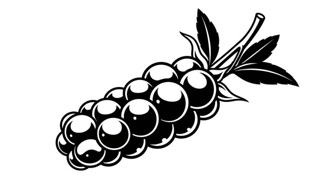 Black and white illustration of ripe blackberries with leaves on white background