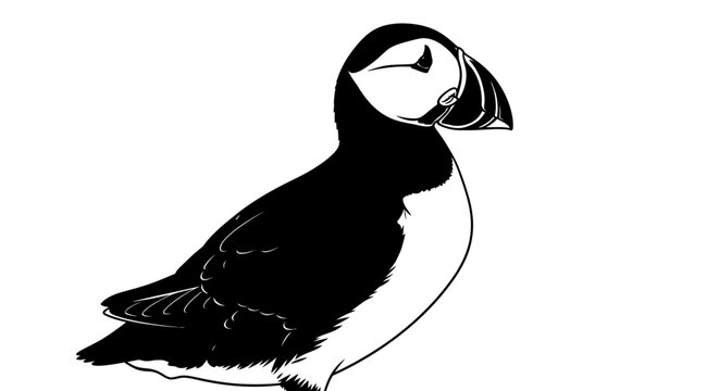 Black and white illustration of a puffin bird on a white background