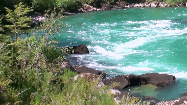 Witness the radiant flow of Rio Arrayanes during midday. Gaze upon the idyllic scenery from Los Alerces National Park, Patagonia, Argentina. Nature's beauty abounds.