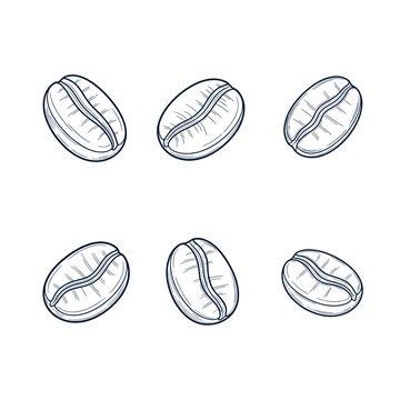 Set of Six HandDrawn Coffee Beans Illustration.