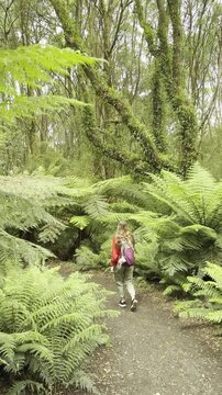 Girl adventurer walks along a wild trail overgrown with tree ferns, heading toward Beauchamp Falls, surrounded by lush vegetation in Great Otway National Park, Victoria, Australia