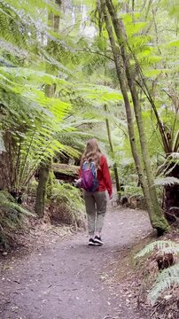Girl adventurer walks along a wild trail overgrown with tree ferns, heading toward Beauchamp Falls, surrounded by lush vegetation in Great Otway National Park, Victoria, Australia