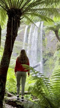 Girl adventurer stands next to tree fern and admires the powerful Hopetoun Falls, located in Great Otway National Park, Victoria, Australia. Stunning waterfalls in the Otways region
