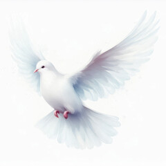 Obraz premium A white dove with pink beak and feet is flying with wings spread wide, showcasing its pure white feathers and soft pink accents on its legs.