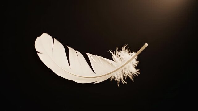 A single white feather floats gracefully against a dark, moody background.