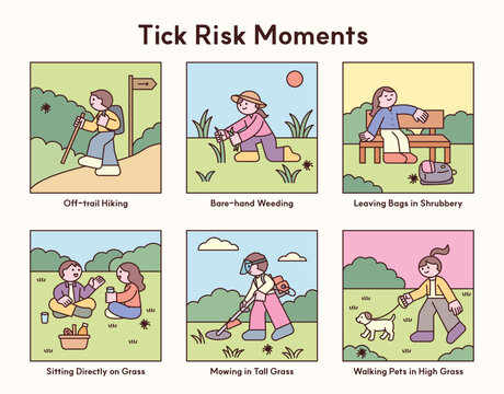 A collection of dangerous moments at risk of tick bites. Concept illustration. Cute character with a round face, featuring a design and geometric shape.