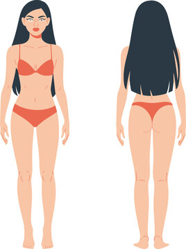 Female body front back views long hair anatomy character design flat vector