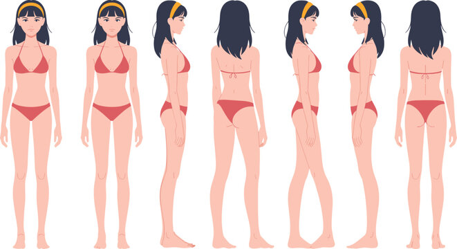 Female body front side back views anatomy reference character design flat vector