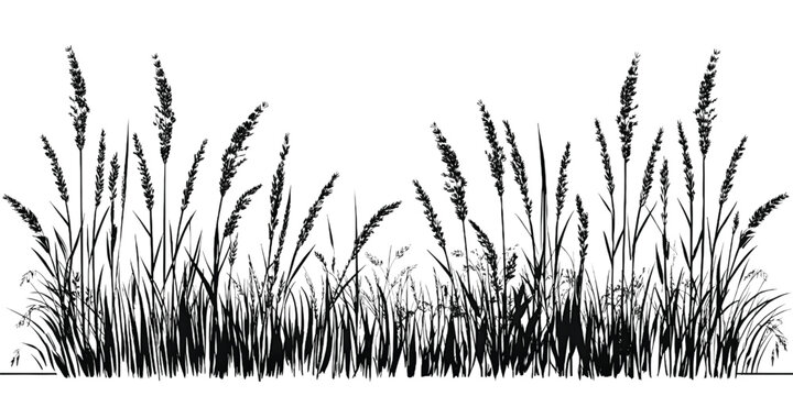 Detailed illustration of a field of tall, wispy grasses swaying gently