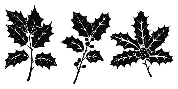 Three maple leaves in varying shades of green against a plain background