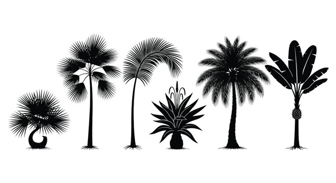 A stylized illustration of five palm trees with varying heights and leaf densities