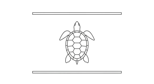 Elegant minimalist vector outline of a graceful sea turtle in a captivating aquatic design with