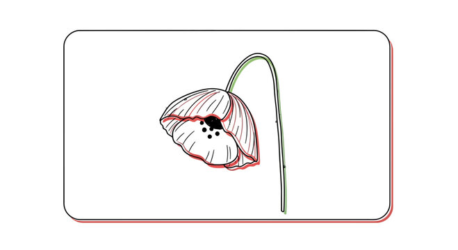 Contemporary line art depiction of a gracefully drooping bloom with subtle color accents and