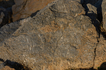 Obraz premium Ancient petroglyphs etched on rugged stone surfaces in a remote canyon at sunset.