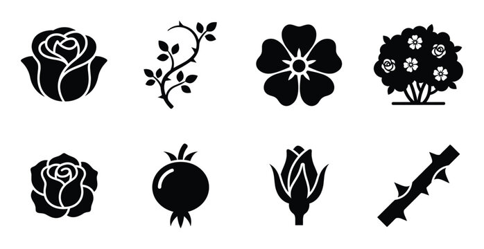 Rose flowers and parts icons isolated on transparent background vector