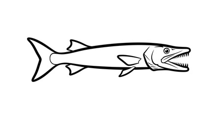 Fototapeta premium Aggressive marine barracuda fish with sharp teeth illustration in a clean line art style vector