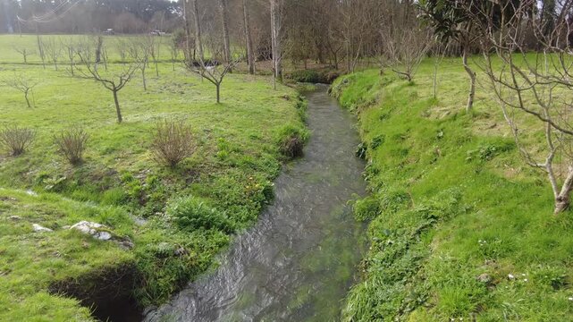 Small stream flowing through a lush green meadow, surrounded by small leafless trees and wild vegetation. Beautiful tranquil scenery in a natural park with a clear creek running over the grass