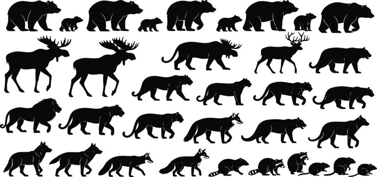 Black silhouettes of various wild animals, including bears, moose, deer, lions, wolves, foxes, raccoons, and rodents, isolated on white background.